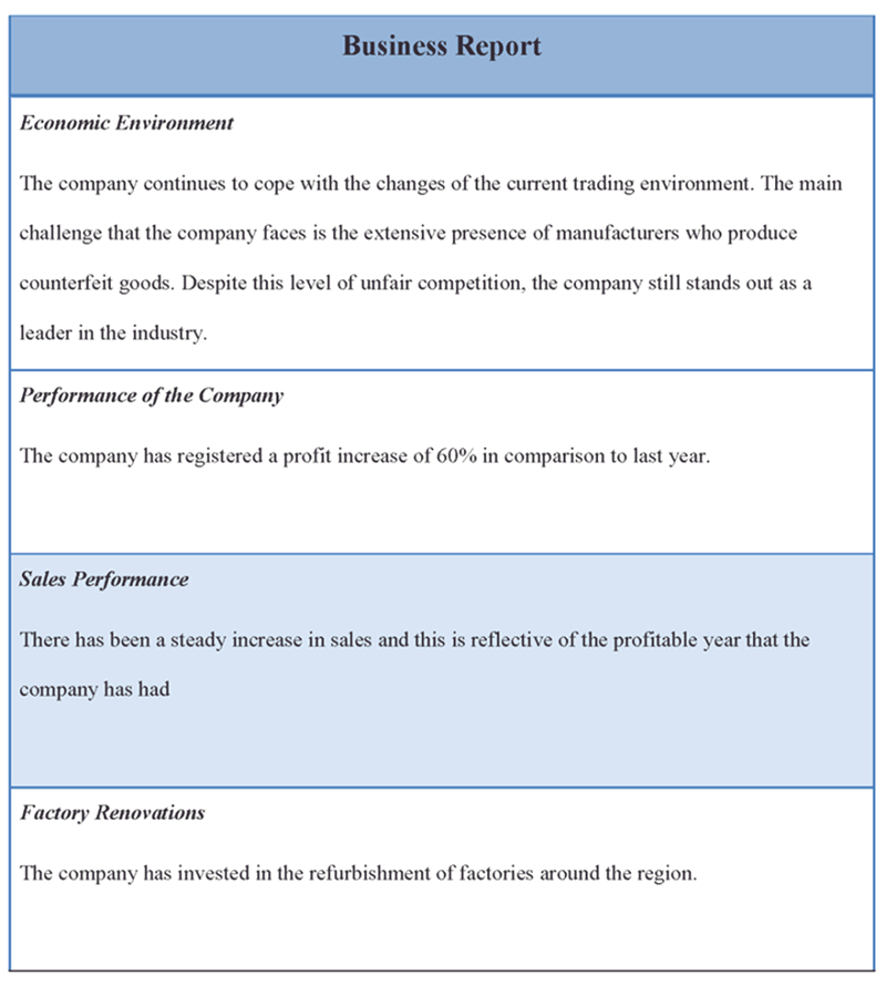 professional report example